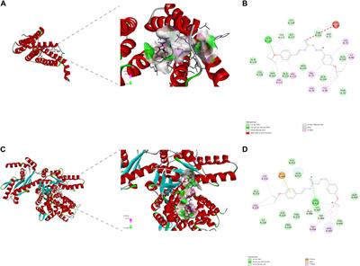 Antibacterial activity of isopropoxy benzene guanidine against Riemerella anatipestifer